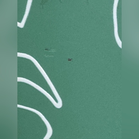 Brümate monstera rehydration - Picture 5 of 6